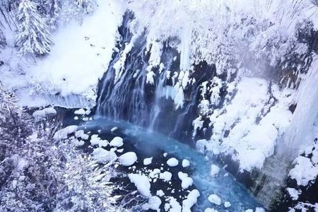 Hokkaido Day Tour from Sapporo: Asahiyama Zoo, Blue Pond Japan