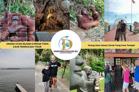 Orangutan Island & Perak Tong Cave Temple Tour from Kuala Lumpur