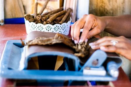 Half-Day Buggy Guided Adventure for Amber Cove and Taino Bay