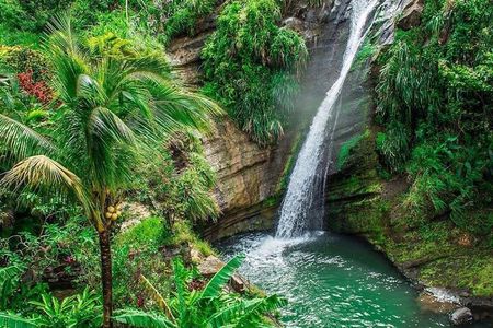 Grenada Must-See Places Express Tour 