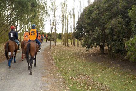 Horseback Riding Tour and Polo in Argentine Countryside
