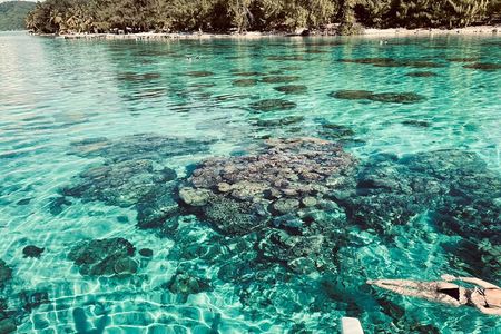 Half day lagoon safari tour in Bora Bora- Shared tour