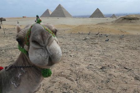 All-In-One Giza Pyramids, Sphinx, Camel, ATVs & Dinner Cruise