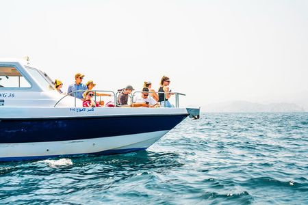 Dolphin Watching in Muscat
