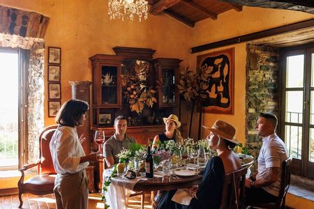 Rome's Vineyard Symphony: Countryside Winetasting Experience