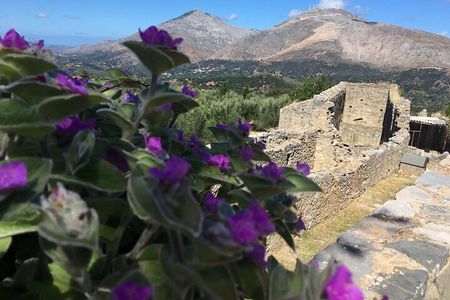 Chania White Mountains Private Tour: From Sea to Summit!