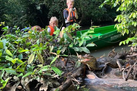 Small Group Tortuguero National Park Canoe Tour