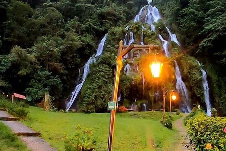 Salento, Cócora and Hot Springs Tour from Pereira or Armenia