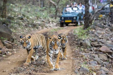 6 Days Golden Triangle with Ranthambore & Varanasi Tour