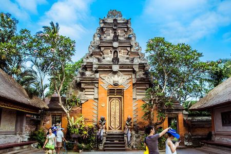 Private Half-Day Tour: Ubud Tour Packages