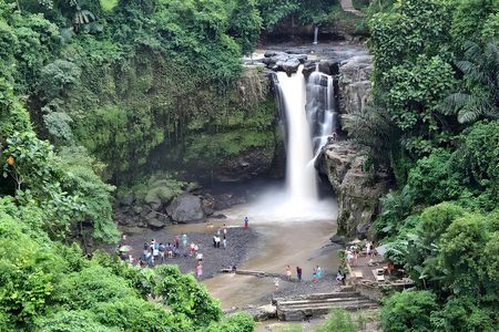 Private Half-Day Tour: Ubud Waterfall Trip Packages