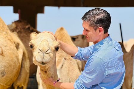 8 Hours Al Ain City Tour without lunch 