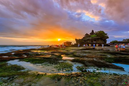 Private Full-Day Tour: Amazing Ubud and Tanah Lot Sunset Tour