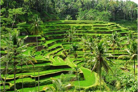 Discover Ubud: 2 Days Ubud Private Tour