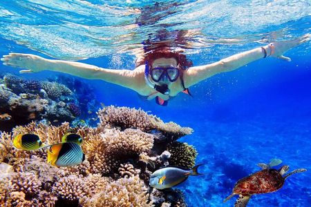 Blue Lagoon & Tanjung Jepun Snorkeling Private Tour