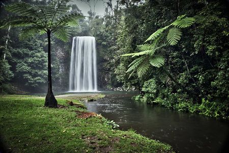Full-day Tour at the Atherton Tablelands with Food Tasting 