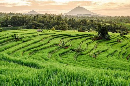 Bali 3 Days Private Tour-Bali Highlight 