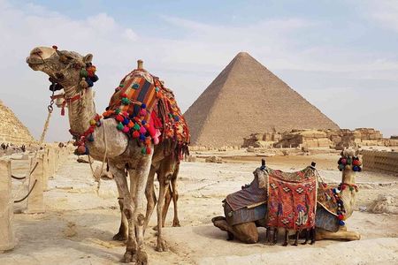 Giza Pyramids and Memphis & Sakkara From Alexandria Port