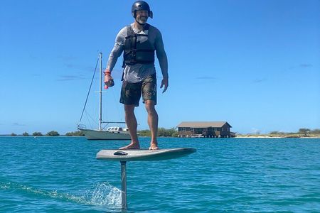 Group of 2 + mid length eFoil experience Honolulu HAWAII 