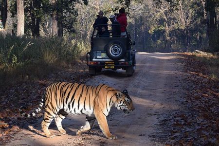 4 Day Golden Triangle with Ranthambore Tiger Safari from Delhi