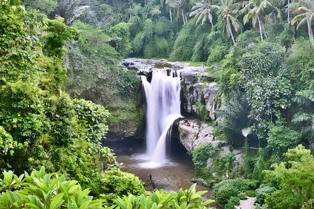 Private Half-Day Tour : Ubud Waterfall Tour Packages