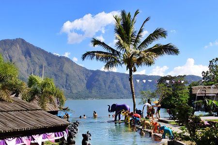 Ubud Tour : Hot Spring, Volcano, Temple, Rice Terrace, Waterfall