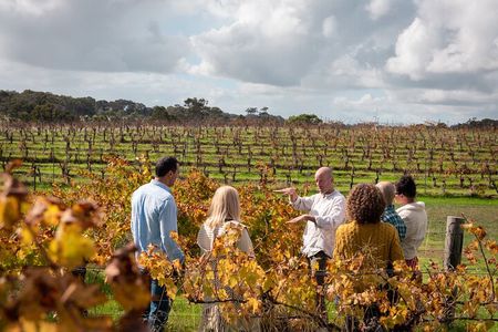 Full Day Winery Experience