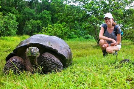 10 Days Galapagos Island Hopping: Santa Cruz & Isabela Island
