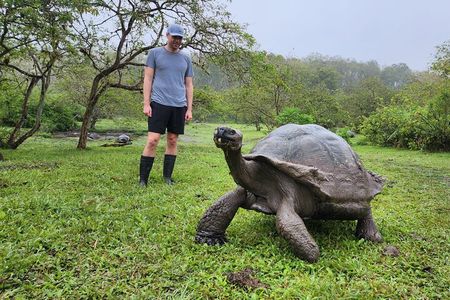 Santa Cruz Highland Tour: Giant Tortoises, Lava Tunnel & Gemelos