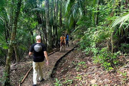 Guided hike in the Metropolitan Park of Panama