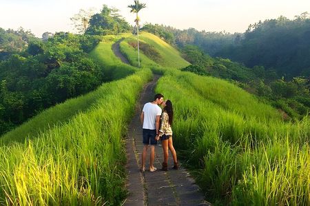 Bali Full-Day Car Charter: All About Ubud Village Trip Experience