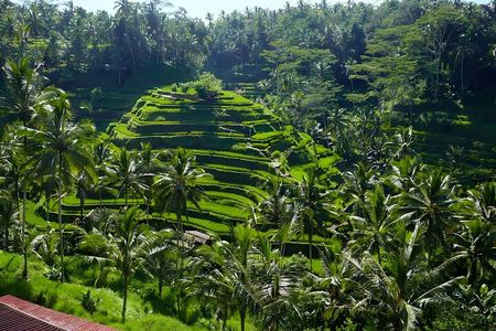Private Full-Day Tour: Explore The Villages Of Ubud Bali