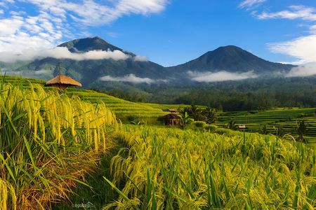 Bali Tour: Lake, Iconic Gate, Temple, Hot Spring and Rice Terrace