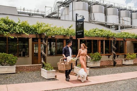St Hallett Ultimate "Barossa Shiraz" Experience