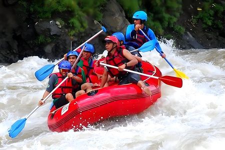 Ayung River Rafting and Ulun Danu Temple - Tanah Lot Temple Tour