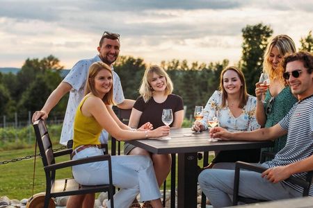 Traverse City Wine Tour: 3 Wineries on Leelanau Peninsula