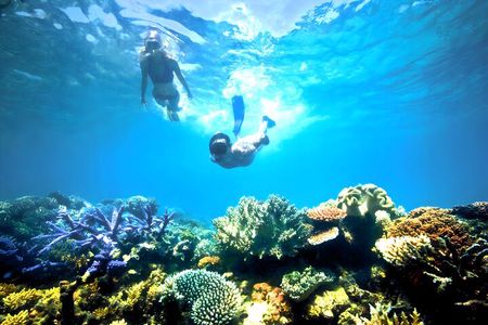 Blue Lagoon Snorkeling and Ubud Waterfall Tour