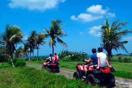 Amazing 2 Hours Bali Quad Bike Adventure with Buffet Lunch