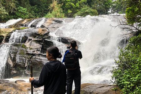 Inthanon National Park Tour with Soft Hike at Pha Dok Siew Trail