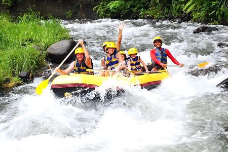 Telaga Waja Rafting and Bali Swing Packages