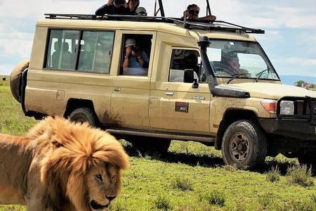 Private Multi Day Serengeti Safari