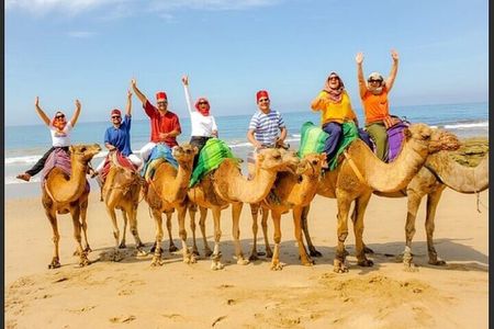 Tangier Assilah Guided Tour and Camel Ride
