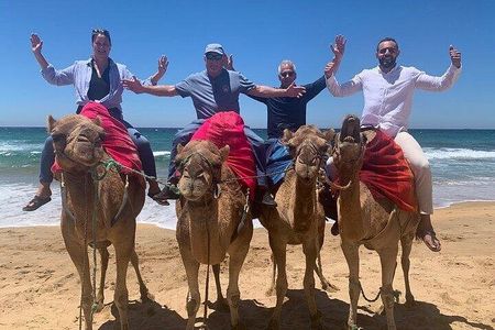 Luxury Private Tangier Tour with Lunch and Camel Ride