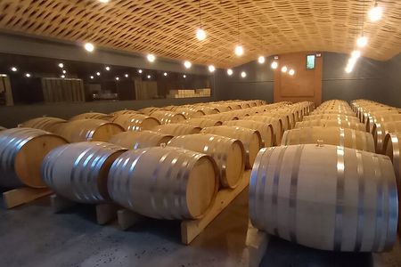 Cape Town Winelands Stellenbosch Private Afternoon Tour
