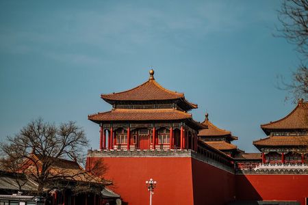 Local's Beijing: Forbidden City Insider Tour +Temple +Duck Feast