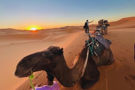 3-Day from Fes to Marrakech A Memorable Moroccan Adventure