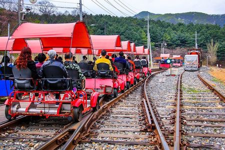 Special Private Tour Nami Island, Rail Bike, Petite France
