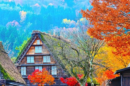 Shirakawa-go and Hida-Takayama Private Day Trip from Nagoya