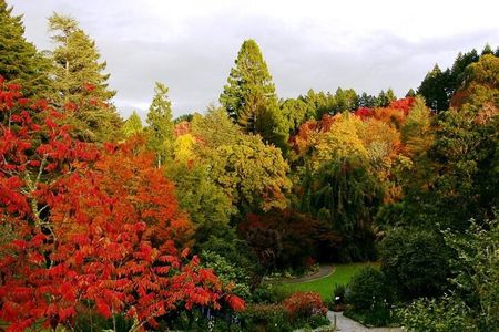 Eastwoodhill Arboretum and Rere Falls Private Tour. Gisborne Port
