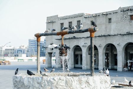 Private City Tour in Doha